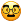 Disguised-face